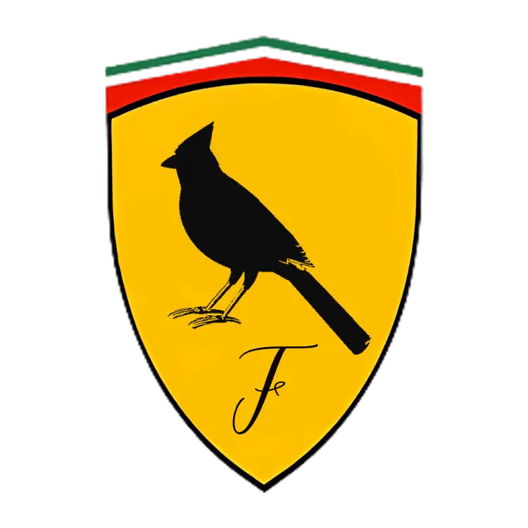 Ferrari Boys Lifestyle: Exclusive Graphic Tshirts in Austin