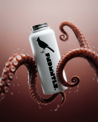 FNDMNTLS Hydration Bottle