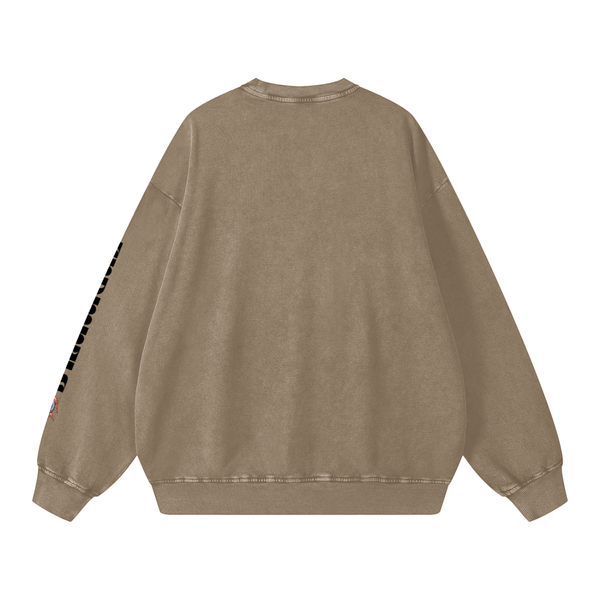 Back view of brown Snow Washed Oversized Sweatshirt showcasing oversized fit and minimal back design for casual styling.